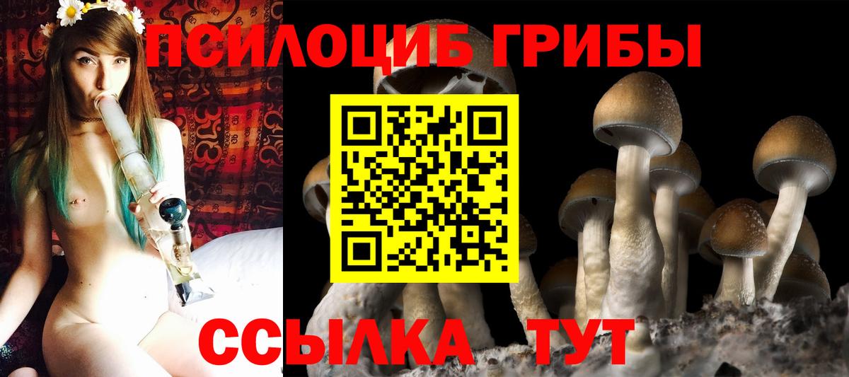 Галлюциногенные грибы прущие грибы Новодвинск