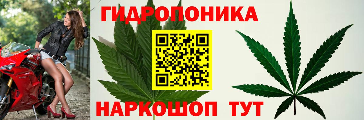 Бошки марихуана Ganja Новодвинск